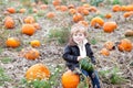 Little toddler boy on pumpkin field Royalty Free Stock Photo
