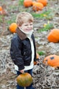 Little toddler boy on pumpkin field Royalty Free Stock Photo