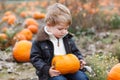 Little toddler boy on pumpkin field Royalty Free Stock Photo