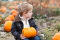 Little toddler boy on pumpkin field Royalty Free Stock Photo