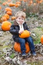 Little toddler boy on pumpkin field Royalty Free Stock Photo