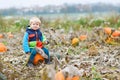 Little toddler boy on pumpkin field Royalty Free Stock Photo