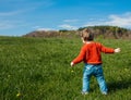 Little toddler boy in red sweater on spring time meadow Royalty Free Stock Photo