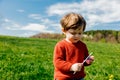 Little toddler boy in red sweater on spring time meadow Royalty Free Stock Photo