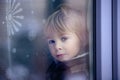 Little toddler boy, sitting behind the window Royalty Free Stock Photo