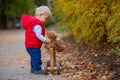 Little toddler boy with teddy bear, riding wooden dog balance bi Royalty Free Stock Photo