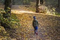 Little toddler boy walking alone through autumn forest. Path in life. Bullying in school concept. Scare and fright. Back Royalty Free Stock Photo