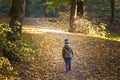 Little toddler boy walking alone through autumn forest. Path in life. Bullying in school concept. Scare and fright. Back