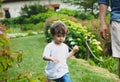 Little toddler boy walking down in a park Royalty Free Stock Photo