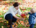 Little toddler boy and young mother in the autumn park Royalty Free Stock Photo