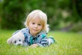 Little toddler child, blond boy, playing with little maltese puppy dog in garden Royalty Free Stock Photo