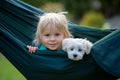 Little toddler child, blond boy, playing with little maltese puppy dog in swing Royalty Free Stock Photo