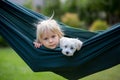 Little toddler child, blond boy, playing with little maltese puppy dog in swing Royalty Free Stock Photo