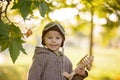 Little toddler child, boy, playing with airplane and knitted teddy bear in autumn park Royalty Free Stock Photo