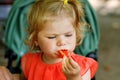 Little toddler girl eating red pepper and vegetables for healthy lunch snack sitting in baby stroller. happy child and Royalty Free Stock Photo