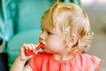 Little toddler girl eating red pepper and vegetables for healthy lunch snack sitting in baby stroller. happy child and Royalty Free Stock Photo