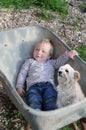 Little toddler girl and her dog sitting in a pushcart Royalty Free Stock Photo