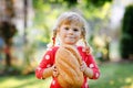 Little toddler girl holding big loaf of bread. Funny happy child biting and eating healthy bread, outdoors. Hungry kid. Royalty Free Stock Photo