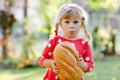 Little toddler girl holding big loaf of bread. Funny happy child biting and eating healthy bread, outdoors. Hungry kid. Royalty Free Stock Photo