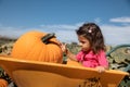 Little toddler girl sitting in trolley with ripe pumpkins at farm field, pumpkin patch and childhood memories concept Royalty Free Stock Photo