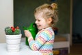 Little toddler girl watering flowers and cactus plants on window at home. Cute child helping, domestic life. Happy Royalty Free Stock Photo