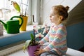 Little toddler girl watering flowers and orchid plants on window at home. Cute child helping, domestic life. Happy Royalty Free Stock Photo