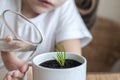 Little toddler girl is watering young plant Royalty Free Stock Photo