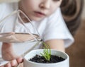 Little toddler girl is watering young plant. Royalty Free Stock Photo