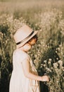 Little toddler girl in a yellow dress walking and picking yellow flowers on a meadow field Royalty Free Stock Photo