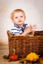 Little toddler playing with leaves and pumpkins Royalty Free Stock Photo