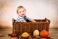 Little toddler playing with leaves and pumpkins Royalty Free Stock Photo