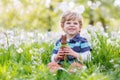 Little toddler wearing Easter bunny ears and eating chocolate at Royalty Free Stock Photo