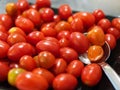Little tomato Royalty Free Stock Photo