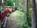 Little tourist train in Abreschviller