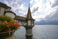 Little tower in the lake Thun, Switzerland