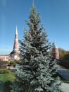 Little towers of monastery and a fur-tree