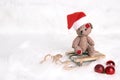 Little toy bear in a santa hat on a sleigh on the white snow fur Royalty Free Stock Photo