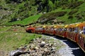 Little train of Artouste in the Pyrenees.