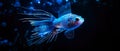 Little transparent fish glow on a black background