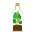 Little Tree In A Bottle