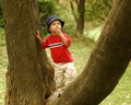 Little Tree Climber Royalty Free Stock Photo