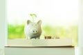 Little tree growing on saving piggy bank on book in saving money for education concept Royalty Free Stock Photo