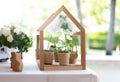 Little tree pot in bag with mini wood house for the wedding decoration. Royalty Free Stock Photo