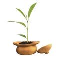 Little tree in thai pottery Royalty Free Stock Photo