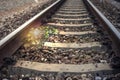 A little tree vegetate among the railway, flare effect added, light effect added ,filtered image, background,selective focus Royalty Free Stock Photo