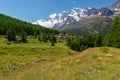 Little Triftalp village with the preserved old wooden farmhouses and majestic Mischabel massif and Dom peak behind Royalty Free Stock Photo