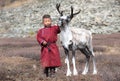 Little tsaatan boy playing with his family`s reindeer.