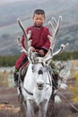 Little tsaatan boy riding with his family`s reindeer.