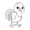 Little Turkey Cartoon Animal Illustration BW