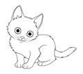 Little Turkish Angora Cat Cartoon Animal Illustration BW